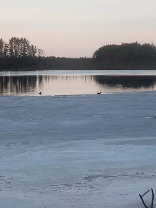 Wolf Lake Campsite Picture 8