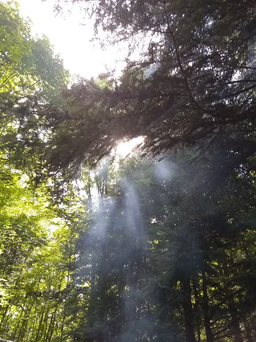 Luna - White Deer Lake Campground Picture 10