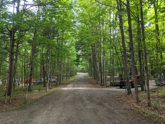 Luna - White Deer Lake Campground Picture 4