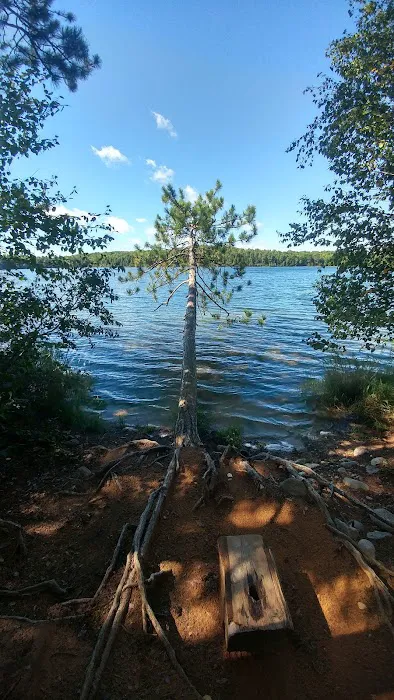 Luna - White Deer Lake Campground Picture 7