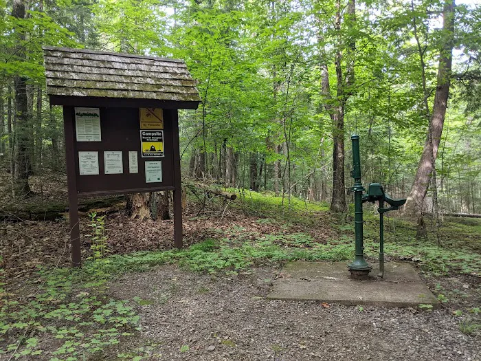 Luna - White Deer Lake Campground Picture 5