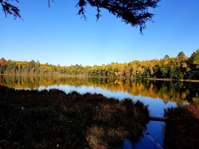 Indian Camp Lake campsite Picture 3