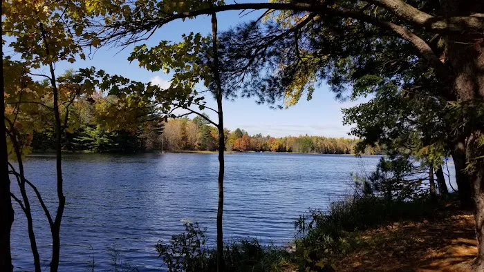 McKinley Lake Campsite Picture 1