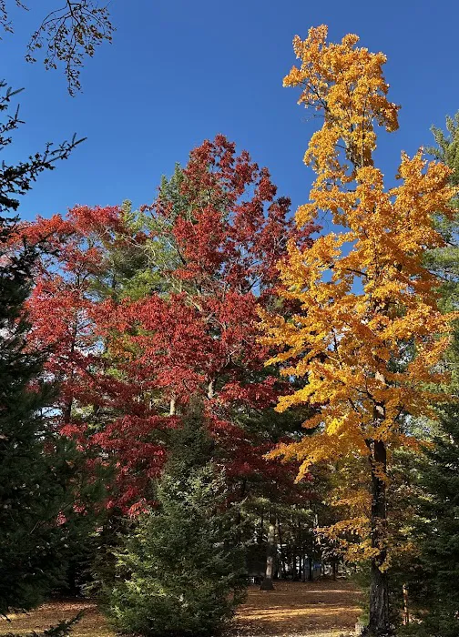 Chain O' Lakes Camping Resort Picture 8