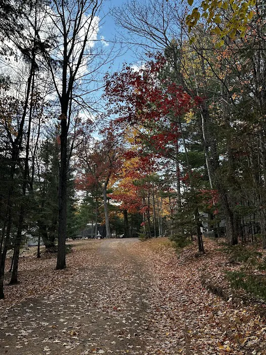 Chain O' Lakes Camping Resort Picture 7