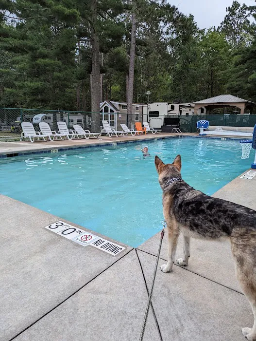 Chain O' Lakes Camping Resort Picture 2