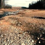 Josie Creek County Park