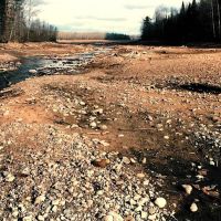 Josie Creek County Park ico