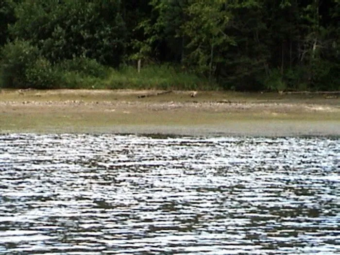 Josie Creek County Park Picture 3