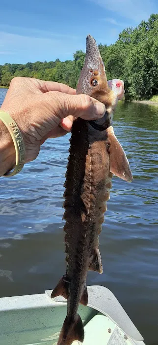 Hervas Landing Picture 14