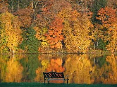 Flambeau Lodge and Campground Picture 6