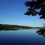 Tracey's Resort & Campground