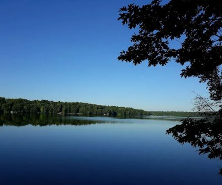 Tracey's Resort & Campground