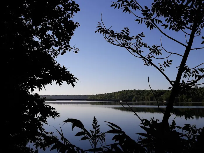 Tracey's Resort & Campground Picture 2