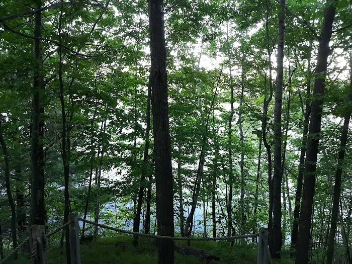 Tracey's Resort & Campground Picture 4