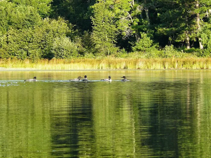 Broken Bow Campground Picture 8