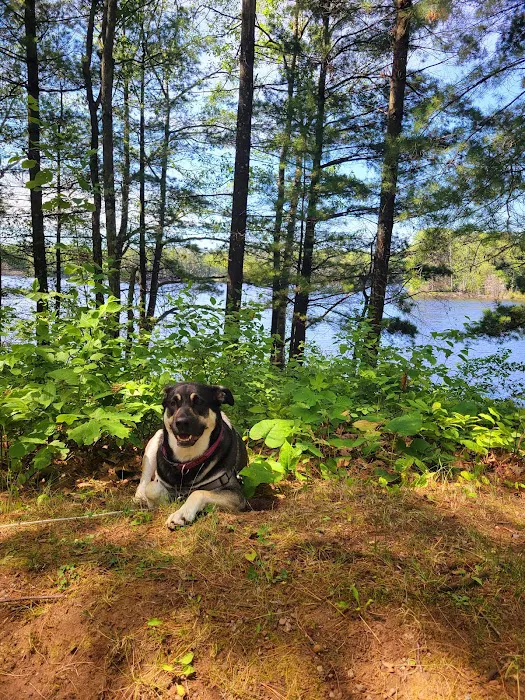 Broken Bow Campground Picture 9