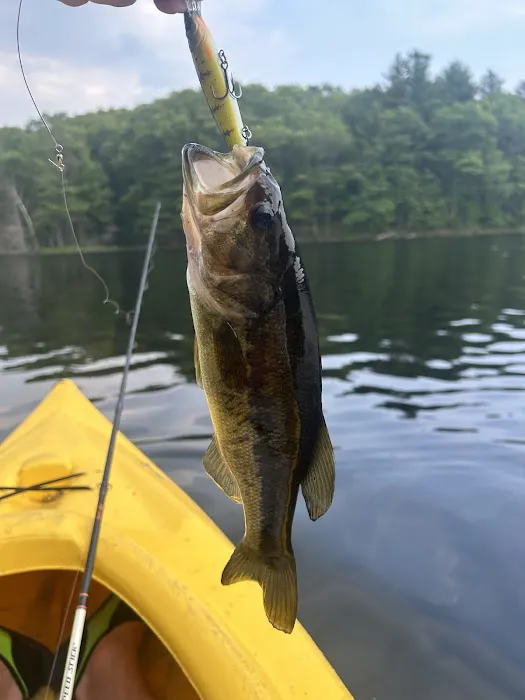 Broken Bow Campground Picture 5