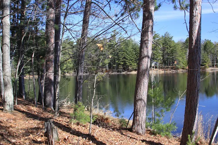 Clear Lake Campground Picture 4