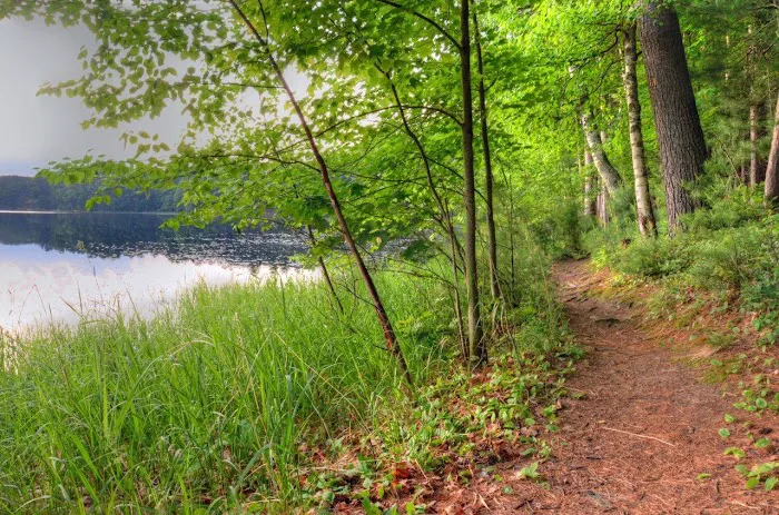 Clear Lake Campground Picture 2