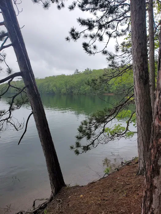 Clear Lake Campground Picture 17