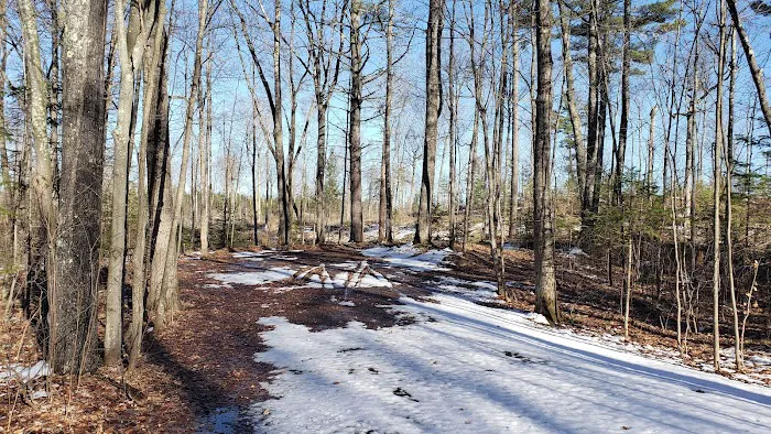 Clear Lake Campground Picture 13