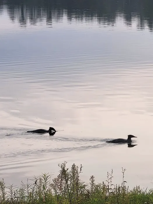 Clear Lake Campground Picture 15