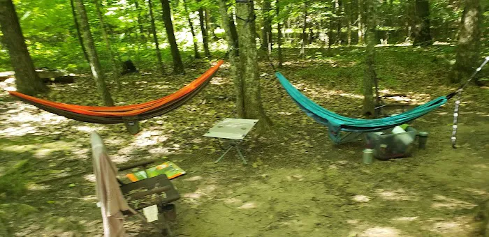 Clear Lake Campground Picture 12