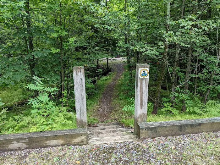 Sailor Lake Campground Picture 3