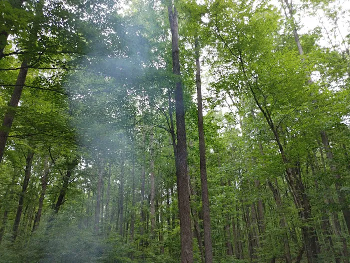 Lake of the Pines State Campground Picture 5