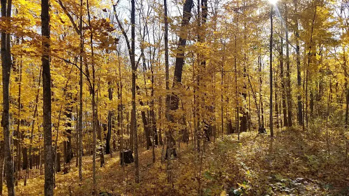 Lake of the Pines State Campground Picture 8