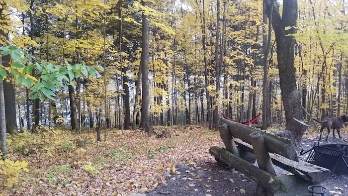 Lake of the Pines State Campground Picture 4