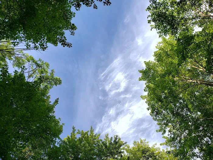 Connors Lake State Campground Picture 2