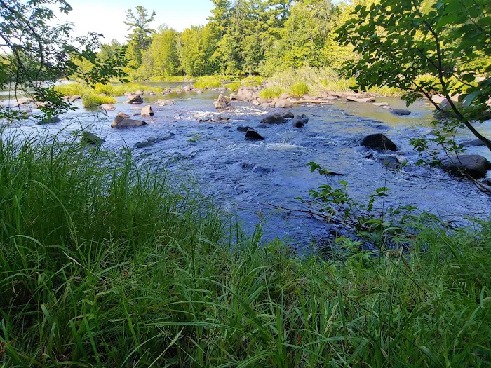 Connors Lake State Campground Picture 7