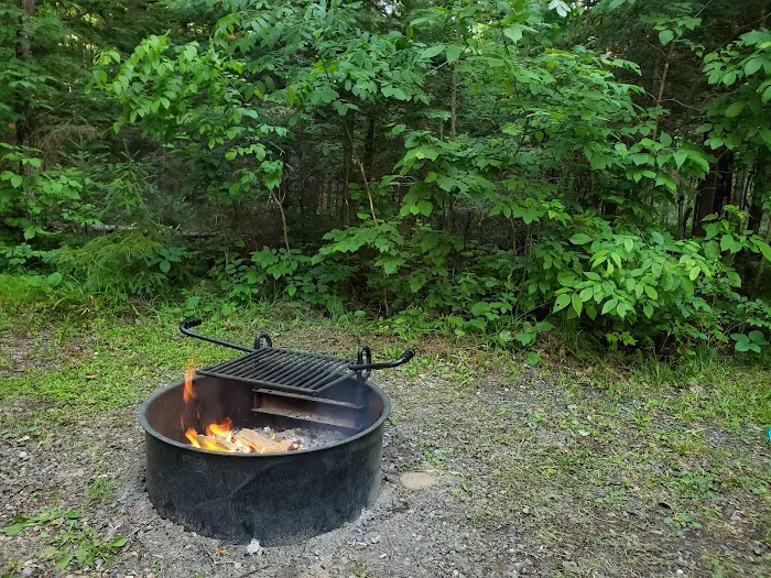 Connors Lake State Campground Picture 3