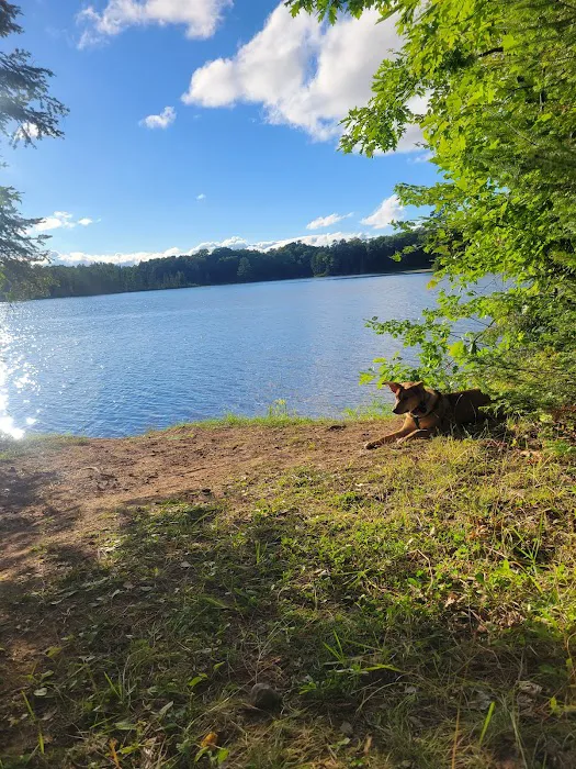 Carrol Lake Campground Picture 2