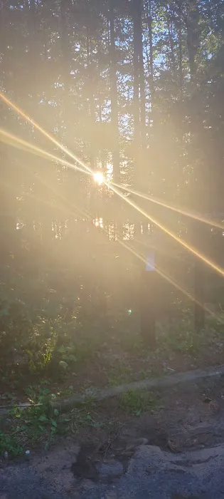 Carrol Lake Campground Picture 6