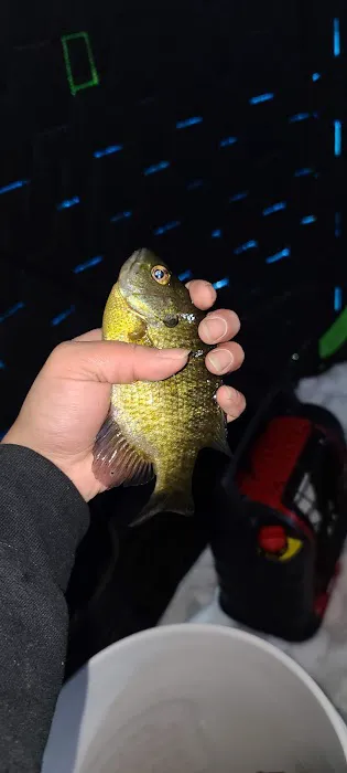 Carrol Lake Campground Picture 5