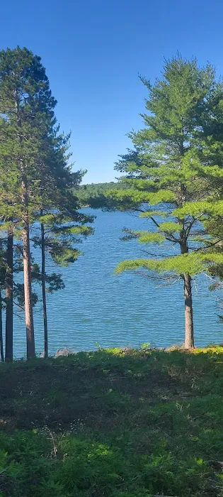 Carrol Lake Campground Picture 7