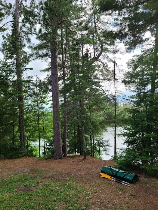 Carrol Lake Campground Picture 10