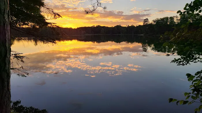 Carrol Lake Campground Picture 1