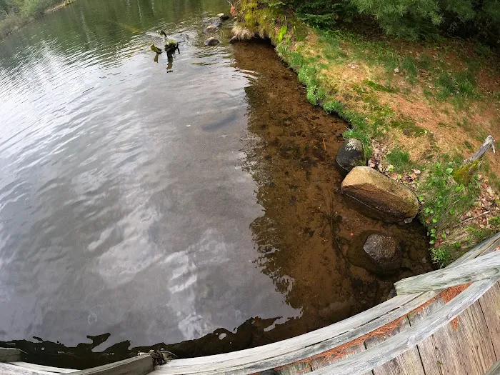 Carrol Lake Campground Picture 9