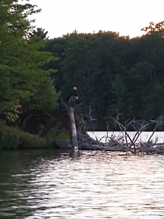 Carrol Lake Campground Picture 4