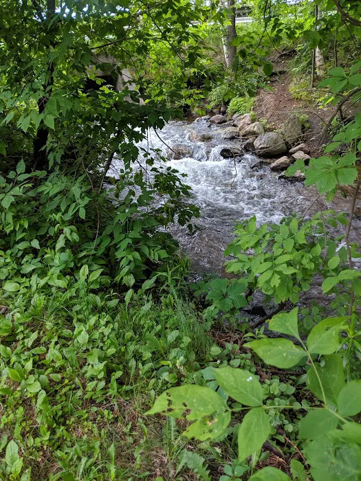 Arbor Vitae Campground Picture 5