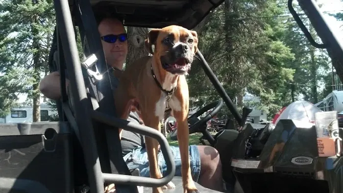 Arbor Vitae Campground Picture 8