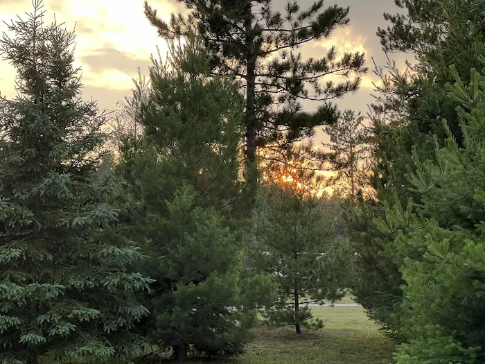 Plum Pines RV Park & Campground Picture 10