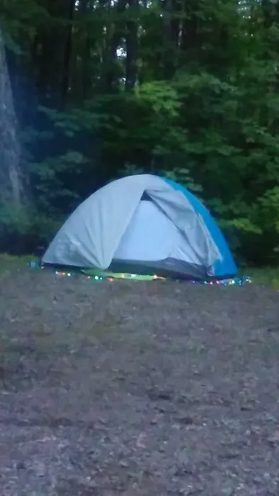 Anvil Lake Campground Picture 7