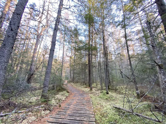 Franklin Lake Campground Picture 1