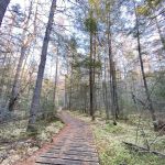 Franklin Lake Campground