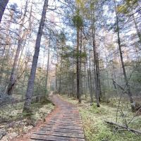 Franklin Lake Campground ico